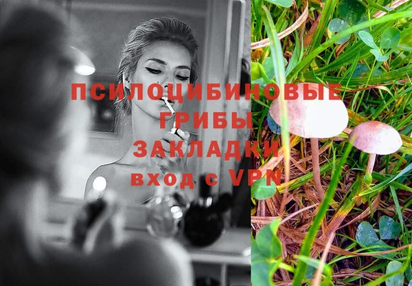 прущие крисы Алексин